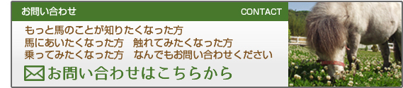 お問い合わせご予約はこちらから