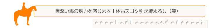 運動としても体型の変化を実感！奥深い馬の魅力を感じます！