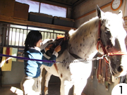 趣味の乗馬レッスン