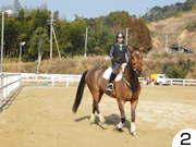 趣味の乗馬レッスン