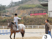 趣味の乗馬レッスン