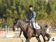 趣味の乗馬レッスン