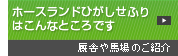 ホースランドひがしせふりはこんなところです