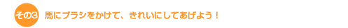 馬にブラシをかけてきれいにしてあげよう